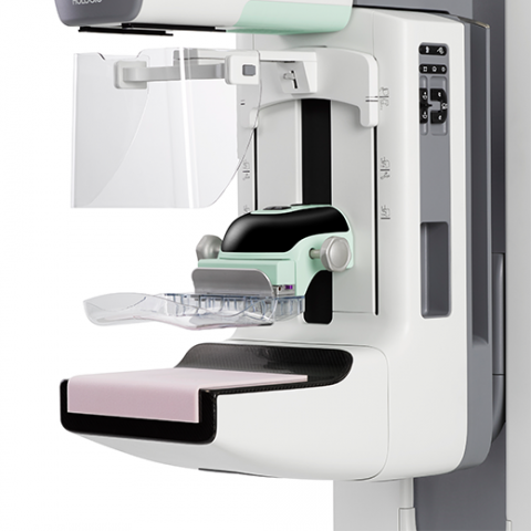 basha diagnostics ct scan cost